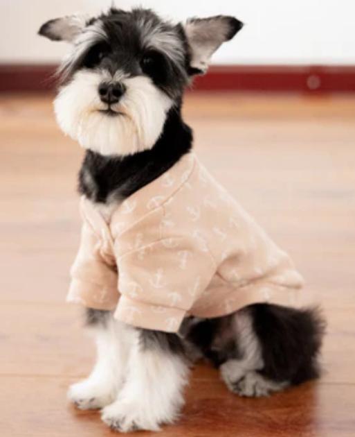 How to Remove Dog Urine Smell from Floors