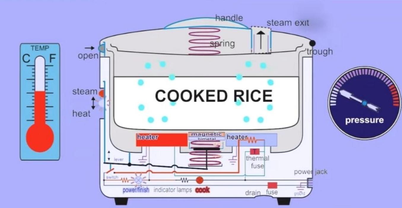 How Does a Rice Cooker Work Step by Step?